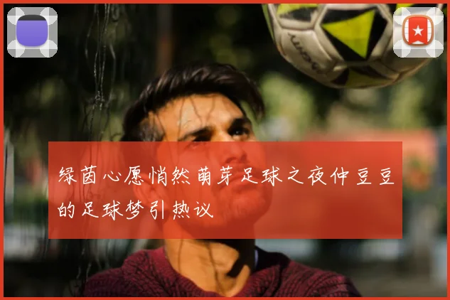 绿茵心愿悄然萌芽足球之夜仲豆豆的足球梦引热议