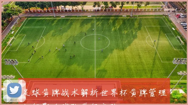 足球黄牌战术解析世界杯黄牌管理如何影响球队晋级之路