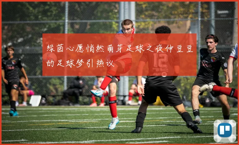绿茵心愿悄然萌芽足球之夜仲豆豆的足球梦引热议